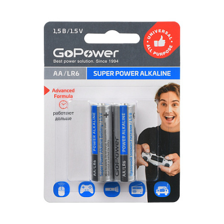 GOPOWER LR6 BL2